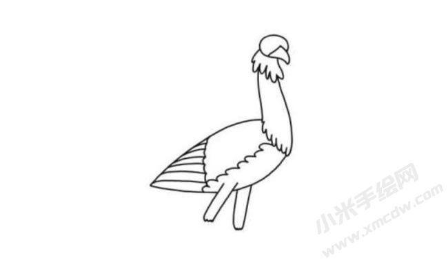 秘書(shū)鳥(niǎo)簡(jiǎn)筆畫(huà)分步繪制圖示03.jpg