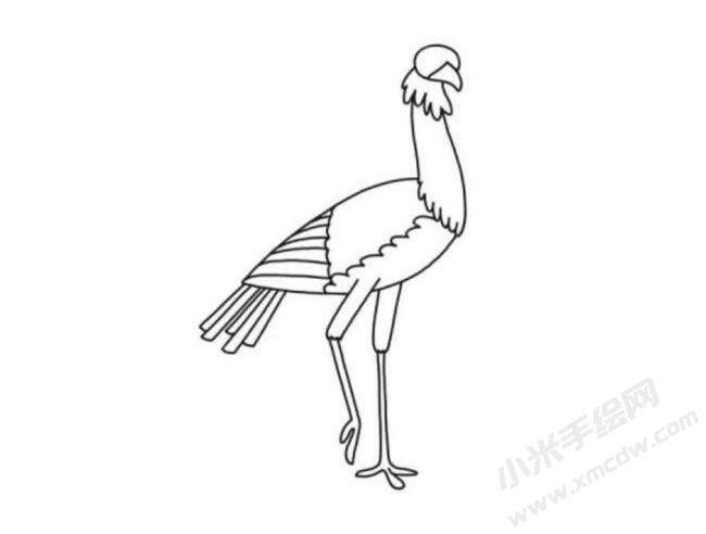 秘書(shū)鳥(niǎo)簡(jiǎn)筆畫(huà)分步繪制圖示05.jpg