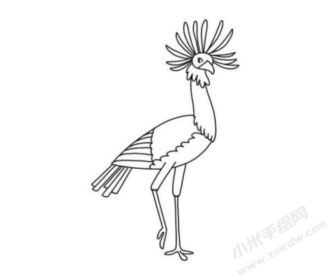 秘書(shū)鳥(niǎo)簡(jiǎn)筆畫(huà)分步繪制圖示06.jpg