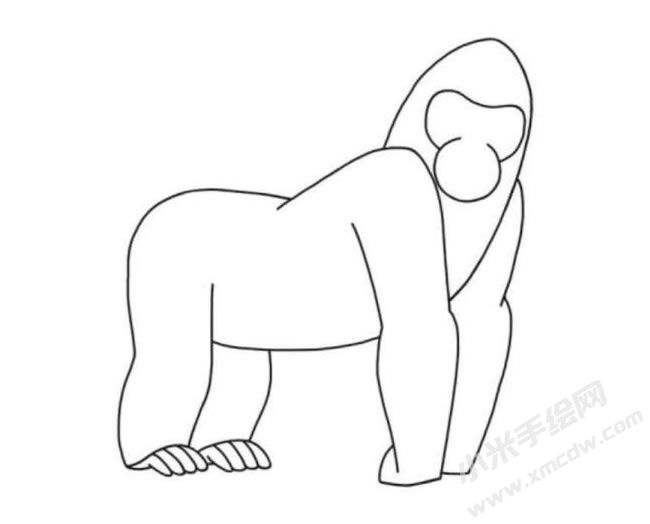 猩猩簡(jiǎn)筆畫分步繪制圖示05.jpg