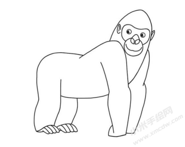 猩猩簡(jiǎn)筆畫分步繪制圖示06.jpg