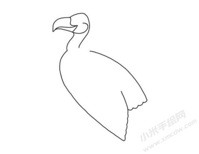 禿鷲簡(jiǎn)筆畫分步繪制圖示02.jpg