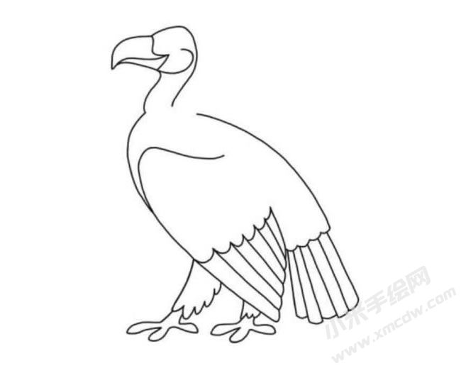 禿鷲簡(jiǎn)筆畫分步繪制圖示05.jpg