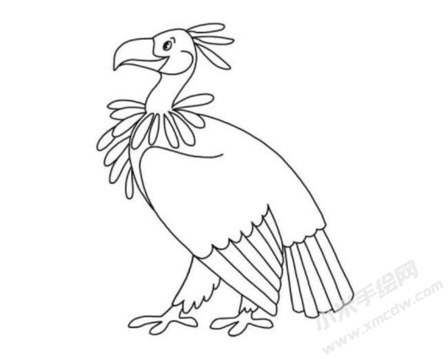禿鷲簡(jiǎn)筆畫分步繪制圖示06.jpg