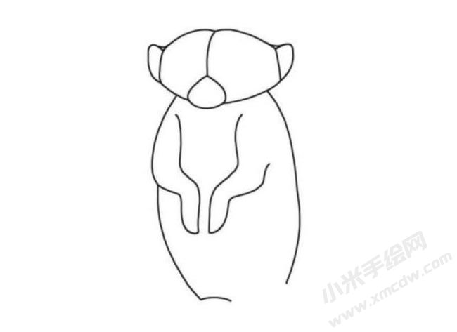 狐獴簡筆畫分步繪制圖示03.jpg