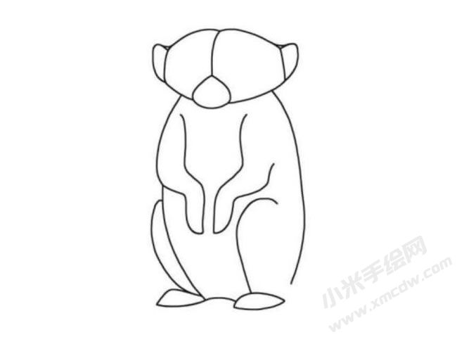 狐獴簡筆畫分步繪制圖示04.jpg