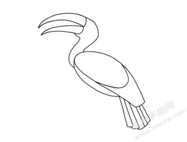 犀鳥簡筆畫分步繪制圖示03.jpg