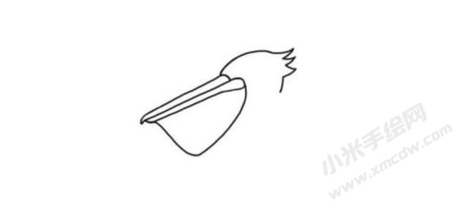 鵜鶘簡(jiǎn)筆畫(huà)分步繪制圖示01.jpg