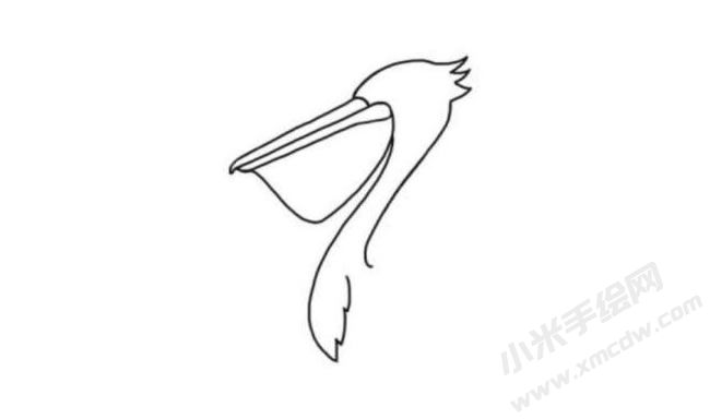 鵜鶘簡(jiǎn)筆畫(huà)分步繪制圖示02.jpg