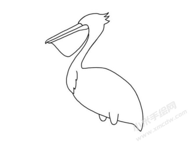 鵜鶘簡(jiǎn)筆畫(huà)分步繪制圖示03.jpg