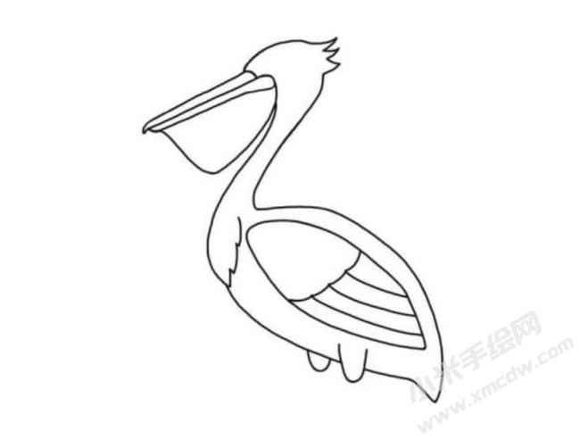鵜鶘簡(jiǎn)筆畫(huà)分步繪制圖示04.jpg