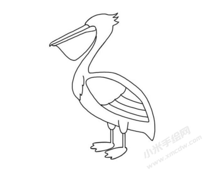 鵜鶘簡(jiǎn)筆畫(huà)分步繪制圖示05.jpg
