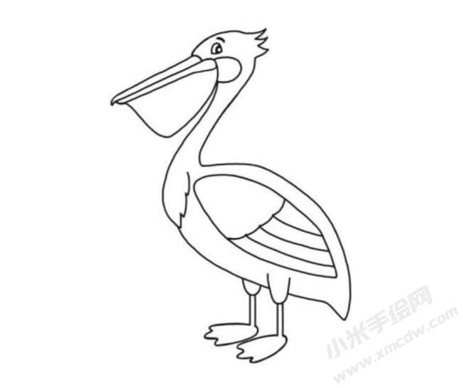 鵜鶘簡(jiǎn)筆畫(huà)分步繪制圖示06.jpg