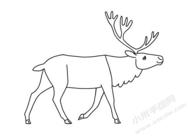 馴鹿簡(jiǎn)筆畫(huà)分步繪制圖示06.jpg