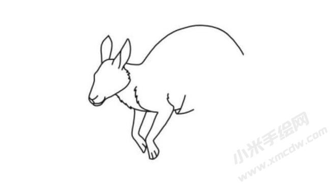 袋鼠簡(jiǎn)筆畫(huà)分步繪制圖示04.jpg