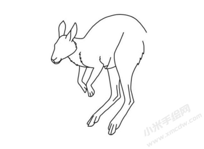 袋鼠簡(jiǎn)筆畫(huà)分步繪制圖示05.jpg