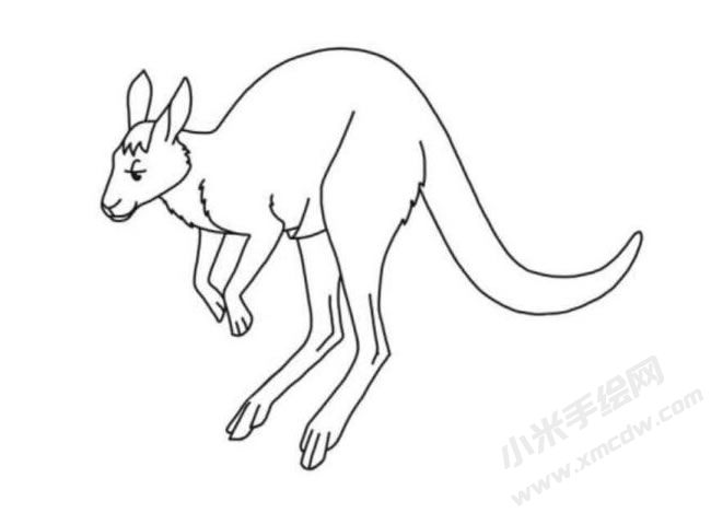 袋鼠簡(jiǎn)筆畫(huà)分步繪制圖示06.jpg