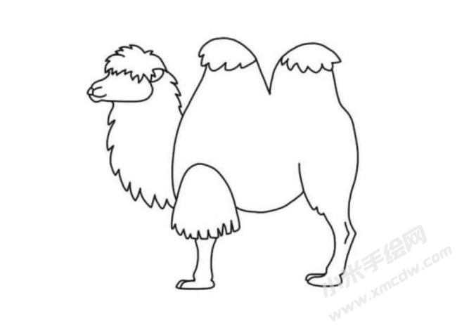 駱駝簡(jiǎn)筆畫分步繪制圖示04.jpg