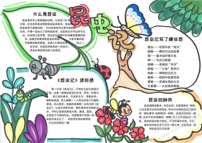 昆蟲(chóng)記手抄報(bào)模板有字版（第三版）.jpg