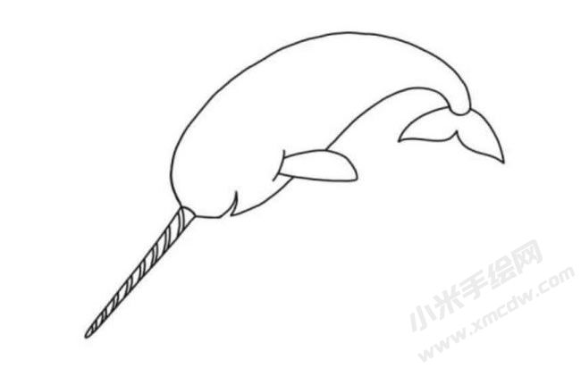 獨(dú)角鯨簡筆畫分步繪制圖示05.jpg