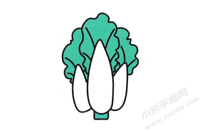 白菜簡筆畫分步繪制圖示06.jpg