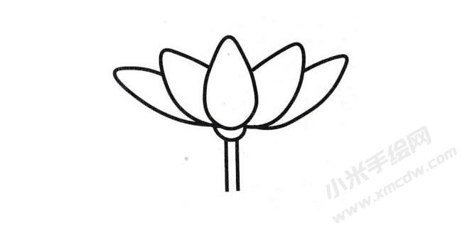 荷花簡(jiǎn)筆畫分步繪制圖示03.jpg