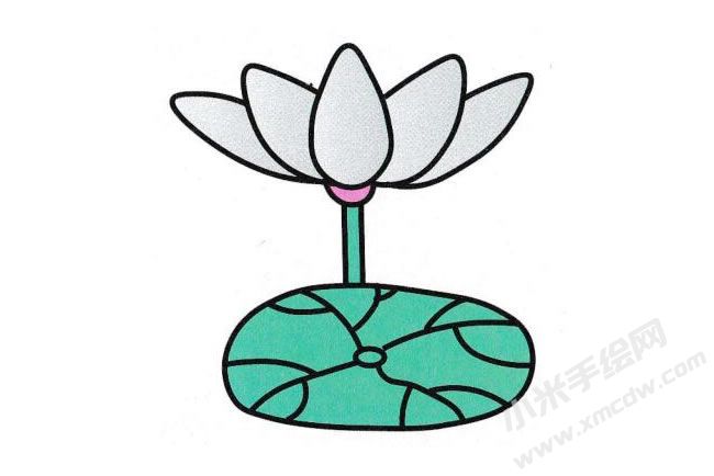荷花簡(jiǎn)筆畫分步繪制圖示06.jpg