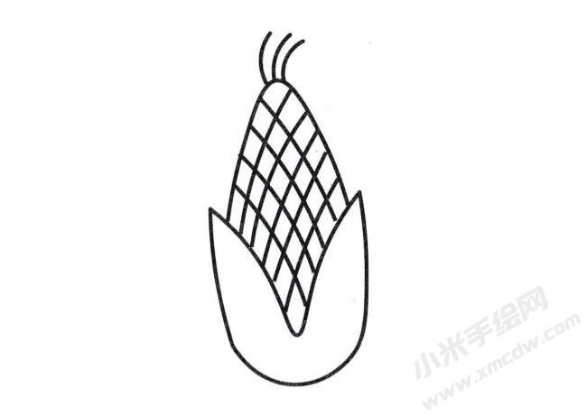 玉米簡(jiǎn)筆畫(huà)分步繪制圖示05.jpg