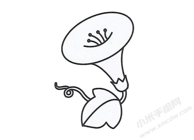 簡(jiǎn)筆畫喇叭花畫法步驟圖示02.jpg