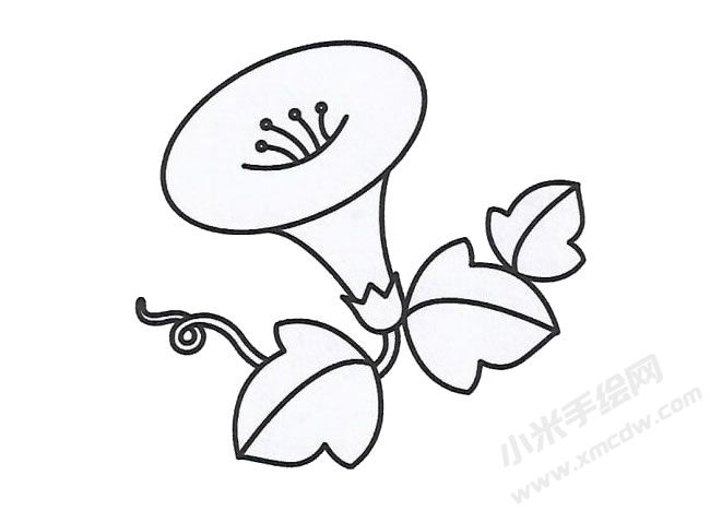 簡(jiǎn)筆畫喇叭花畫法步驟圖示03.jpg