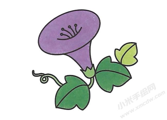 簡(jiǎn)筆畫喇叭花畫法步驟圖示04.jpg
