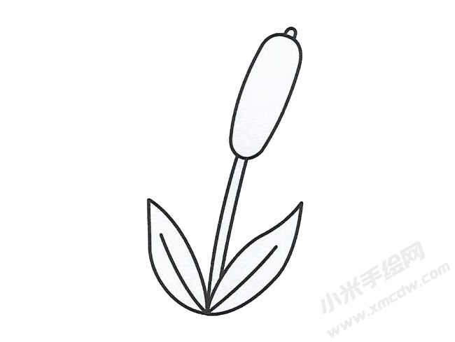 簡(jiǎn)筆畫(huà)蘆葦畫(huà)法步驟圖示02.jpg