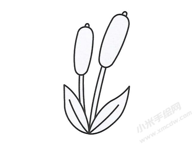簡(jiǎn)筆畫(huà)蘆葦畫(huà)法步驟圖示03.jpg