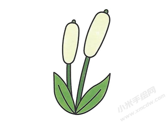 簡(jiǎn)筆畫(huà)蘆葦畫(huà)法步驟圖示04.jpg
