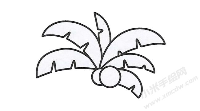 簡(jiǎn)筆畫椰子樹畫法步驟圖示02.jpg