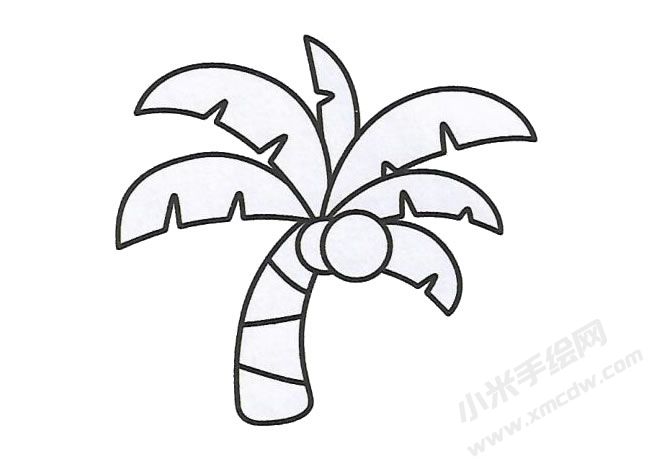 簡(jiǎn)筆畫椰子樹畫法步驟圖示03.jpg