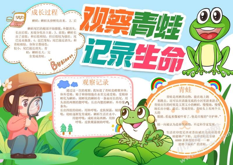 觀察青蛙記錄生命手抄報(bào)模板有字版.jpg