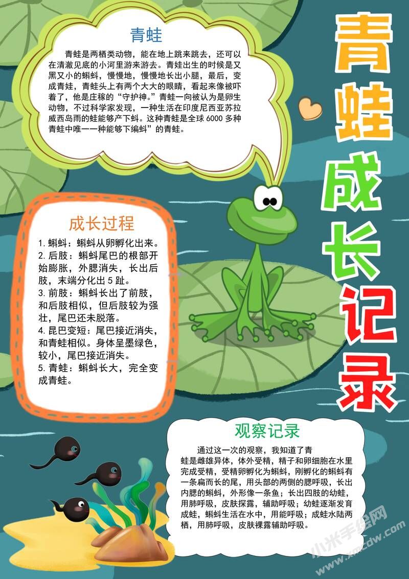 青蛙成長記錄手抄報模板有字版.jpg