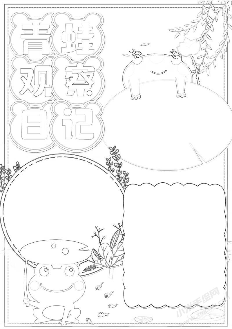 青蛙觀察日記手抄報黑白線稿.jpg