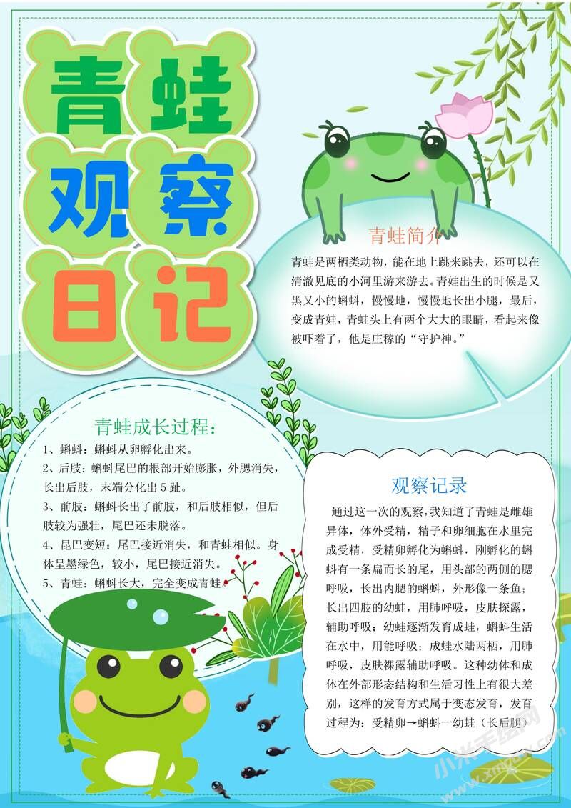 青蛙觀察日記手抄報模板有字版.jpg