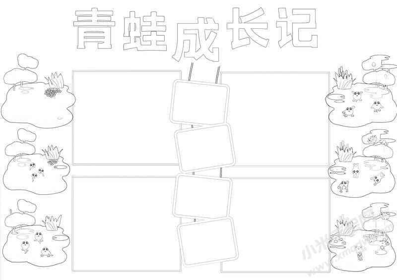 青蛙成長記手抄報黑白線稿.jpg