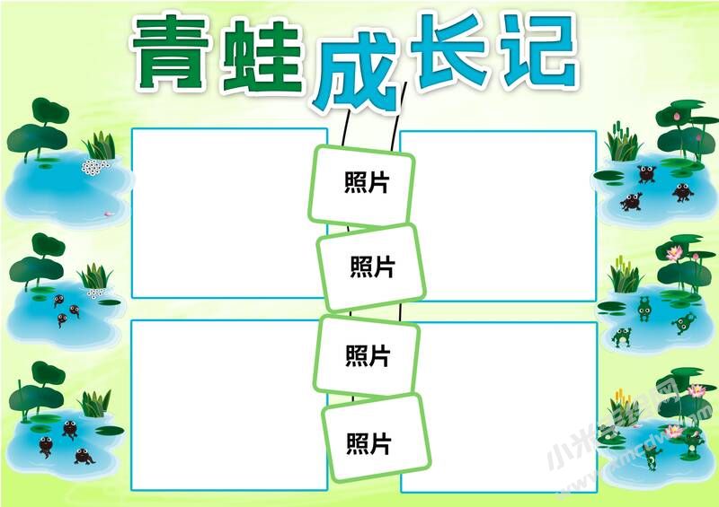 青蛙成長記手抄報模板無字版.jpg