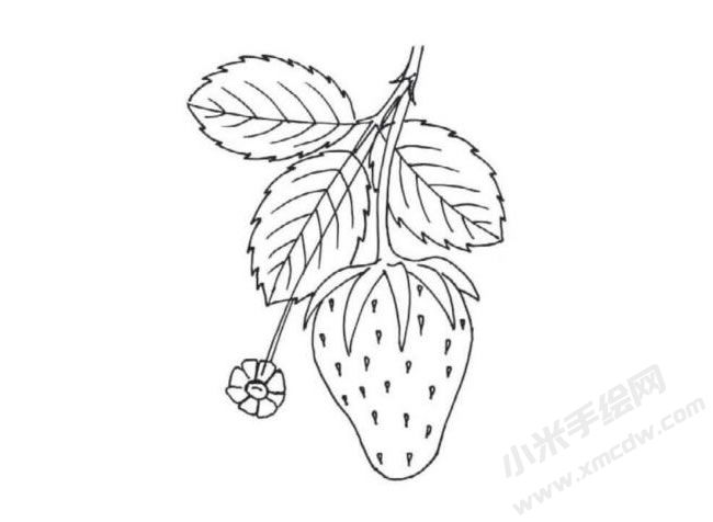 簡筆畫草莓畫法步驟圖示06.jpg