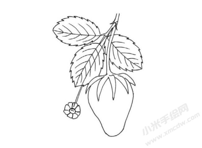 簡筆畫草莓畫法步驟圖示05.jpg
