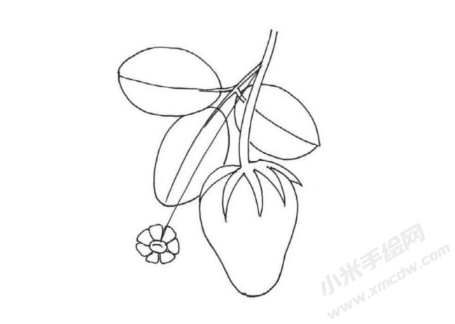 簡筆畫草莓畫法步驟圖示04.jpg