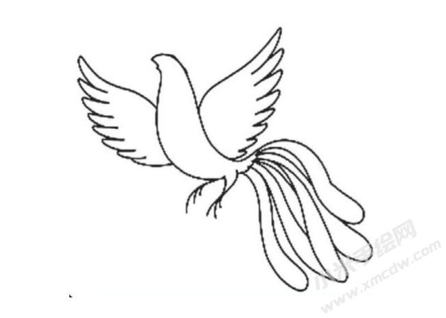 鳳凰簡筆畫分步繪制圖示04.jpg