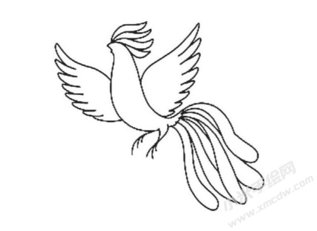 鳳凰簡筆畫分步繪制圖示05.jpg