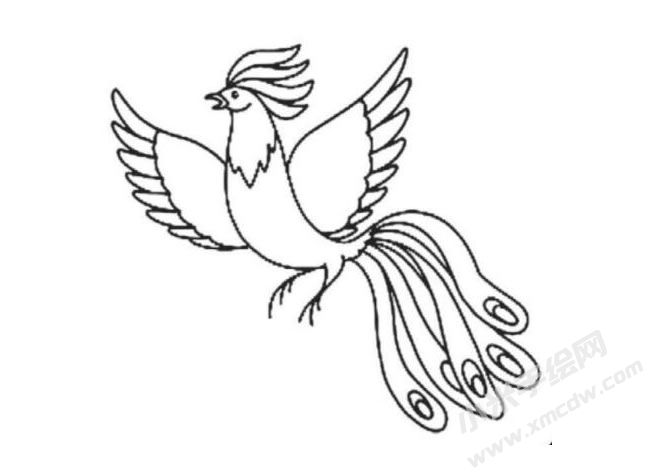 鳳凰簡筆畫分步繪制圖示06.jpg