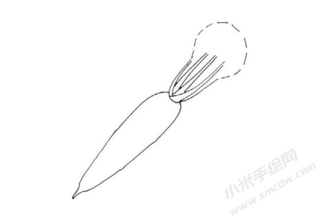 帶莖葉的胡蘿卜簡(jiǎn)筆畫分步繪制圖示03.jpg