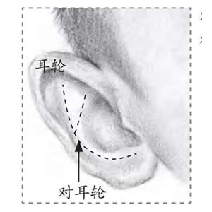 小男孩素描細(xì)節(jié)：耳輪.jpg